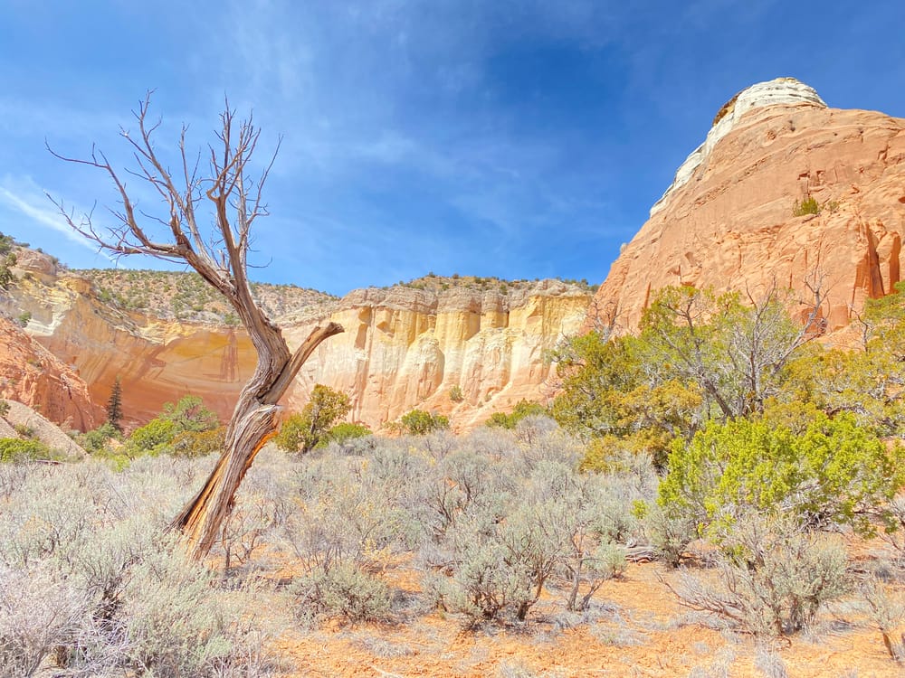 Welcome to my Personal Space!