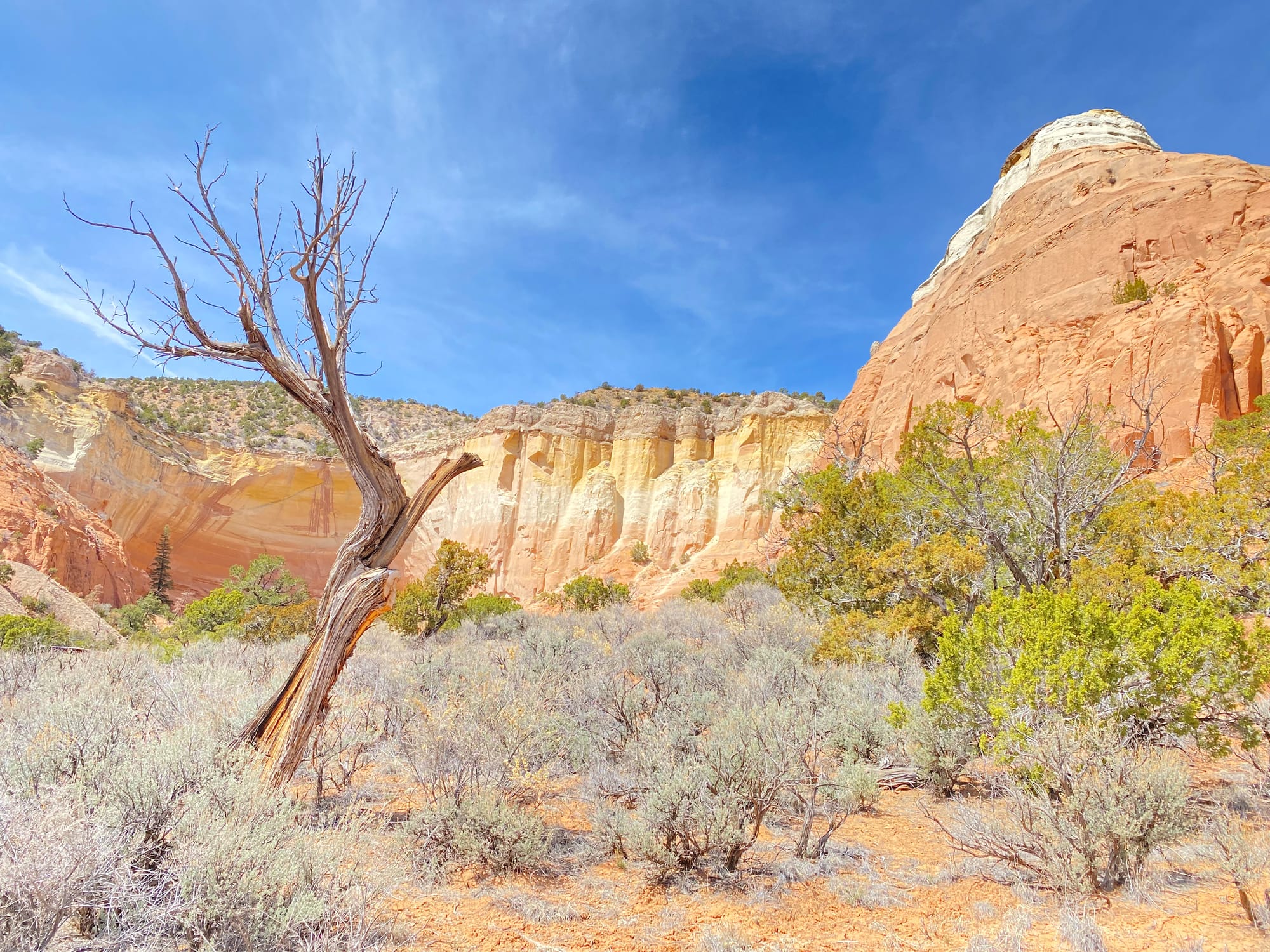 Welcome to my Personal Space!